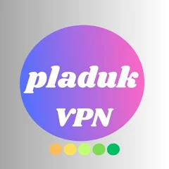 دریافت vpn خارجی PLADUK VPN برای گوشی اندروید