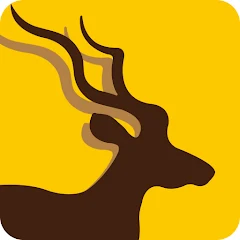 روش دسترسی به تحریم شکن خارجی ALLVPN برای شبکه اجتماعی