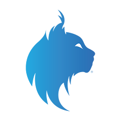 وی پی ان رایگان LynxVPN برای رفع تحریم اینترنت