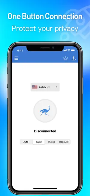 فیلترشکن شترمرغ